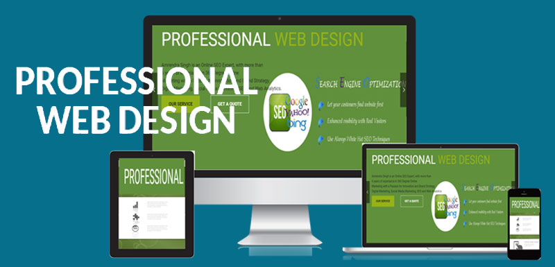 Professional Web Design Professional Web Design